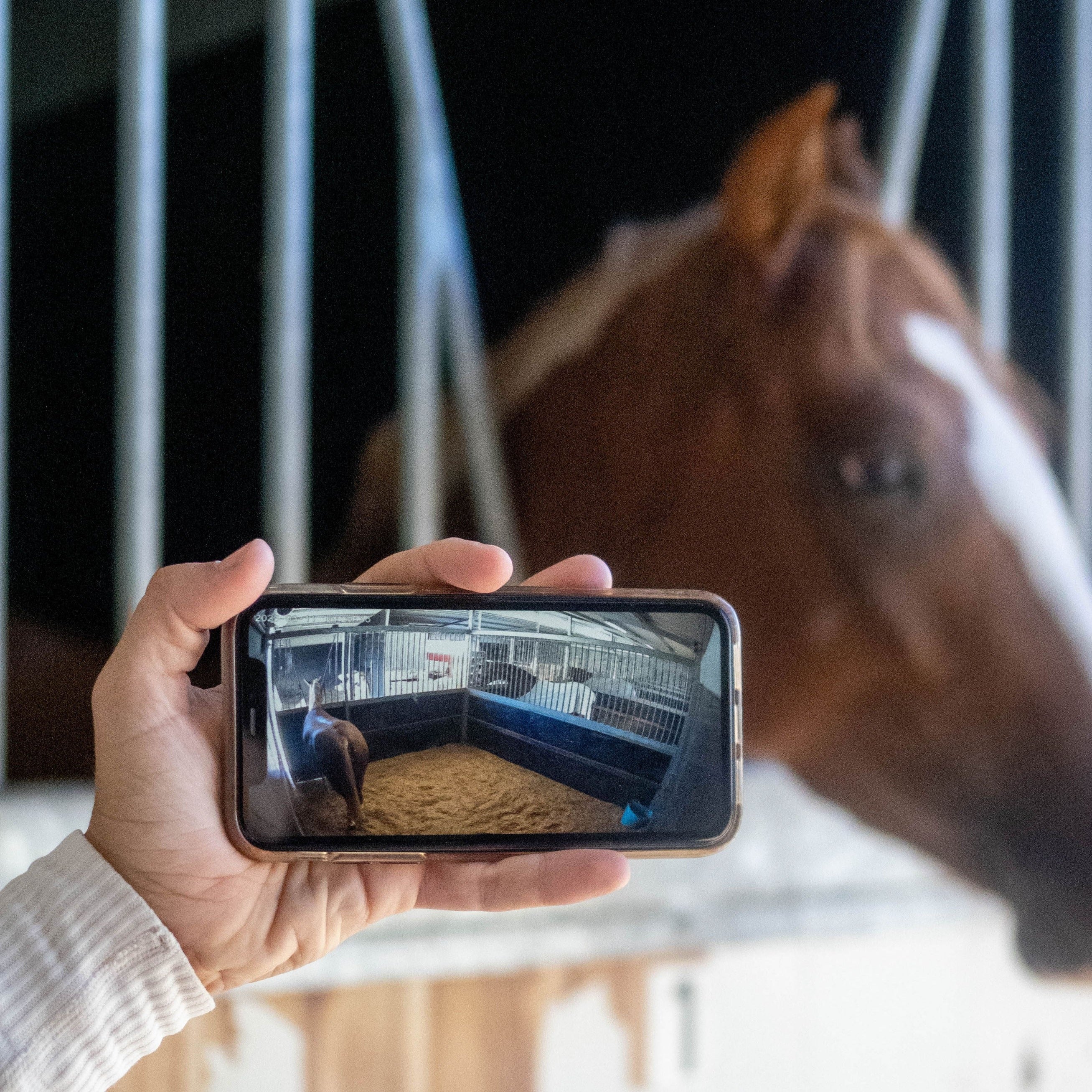 The Equine Eye Vision Camera can be use in a stable.
