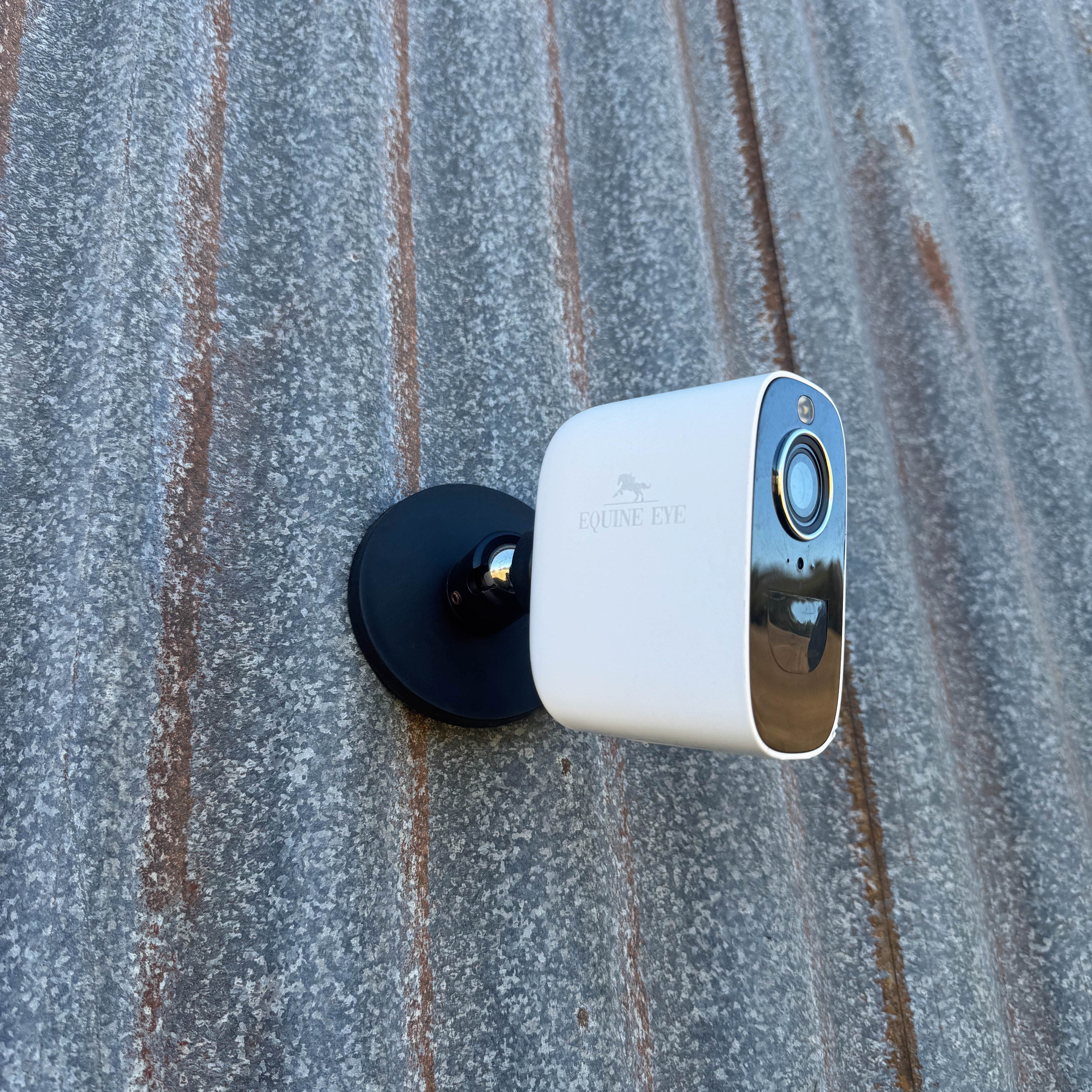 The Equine Eye Vision Camera - Equine Eye