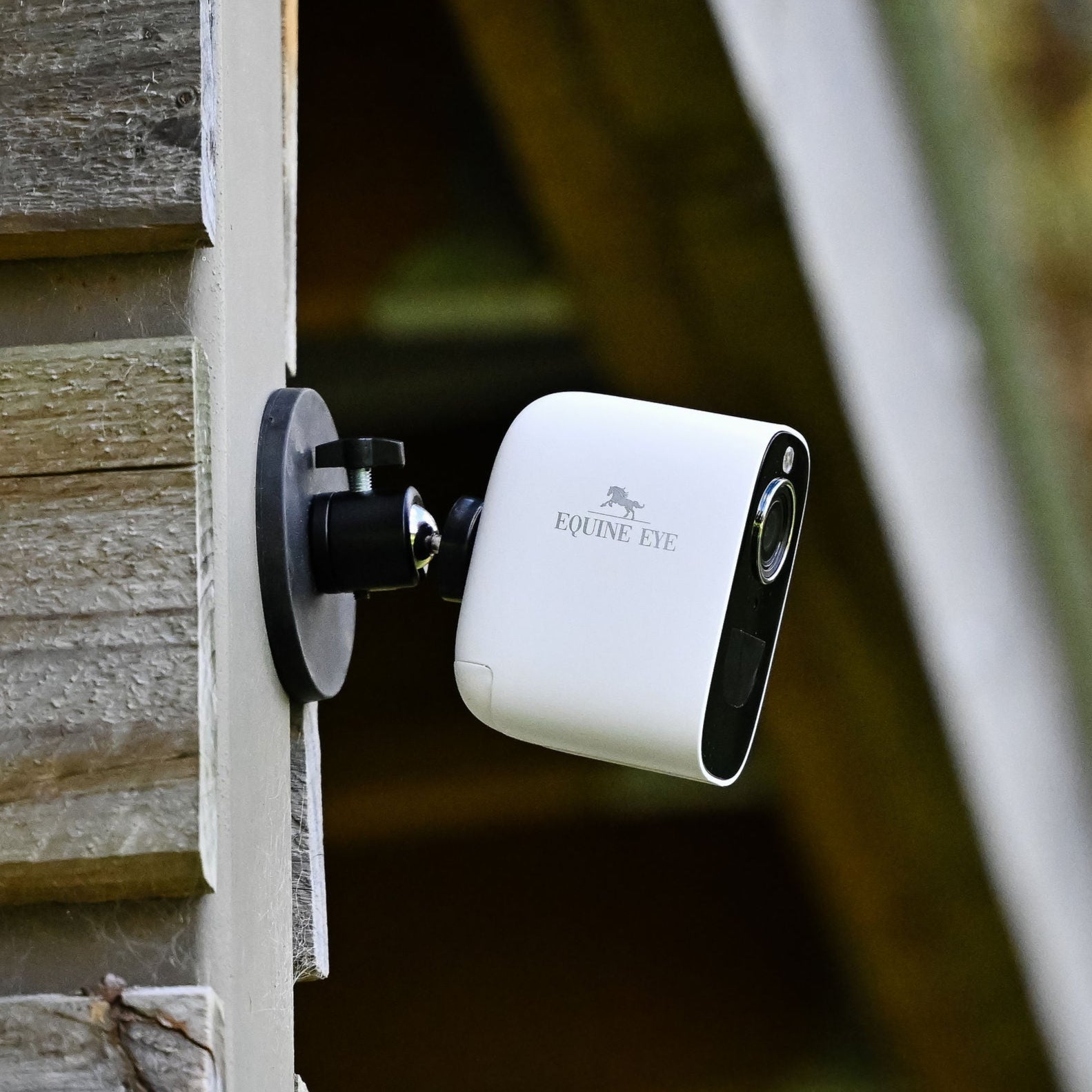 The Equine Eye Vision Camera