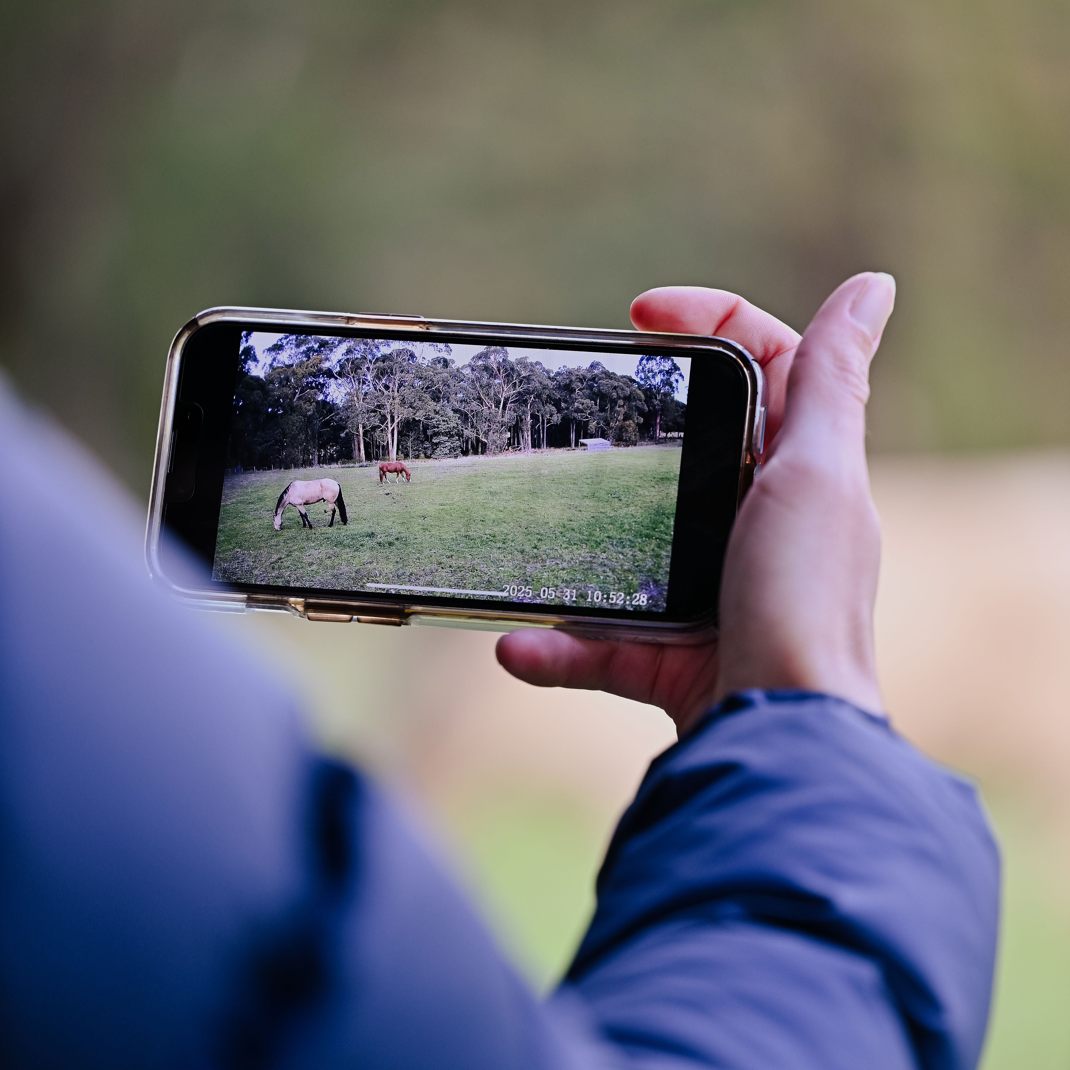 The Equine Eye Vision Camera