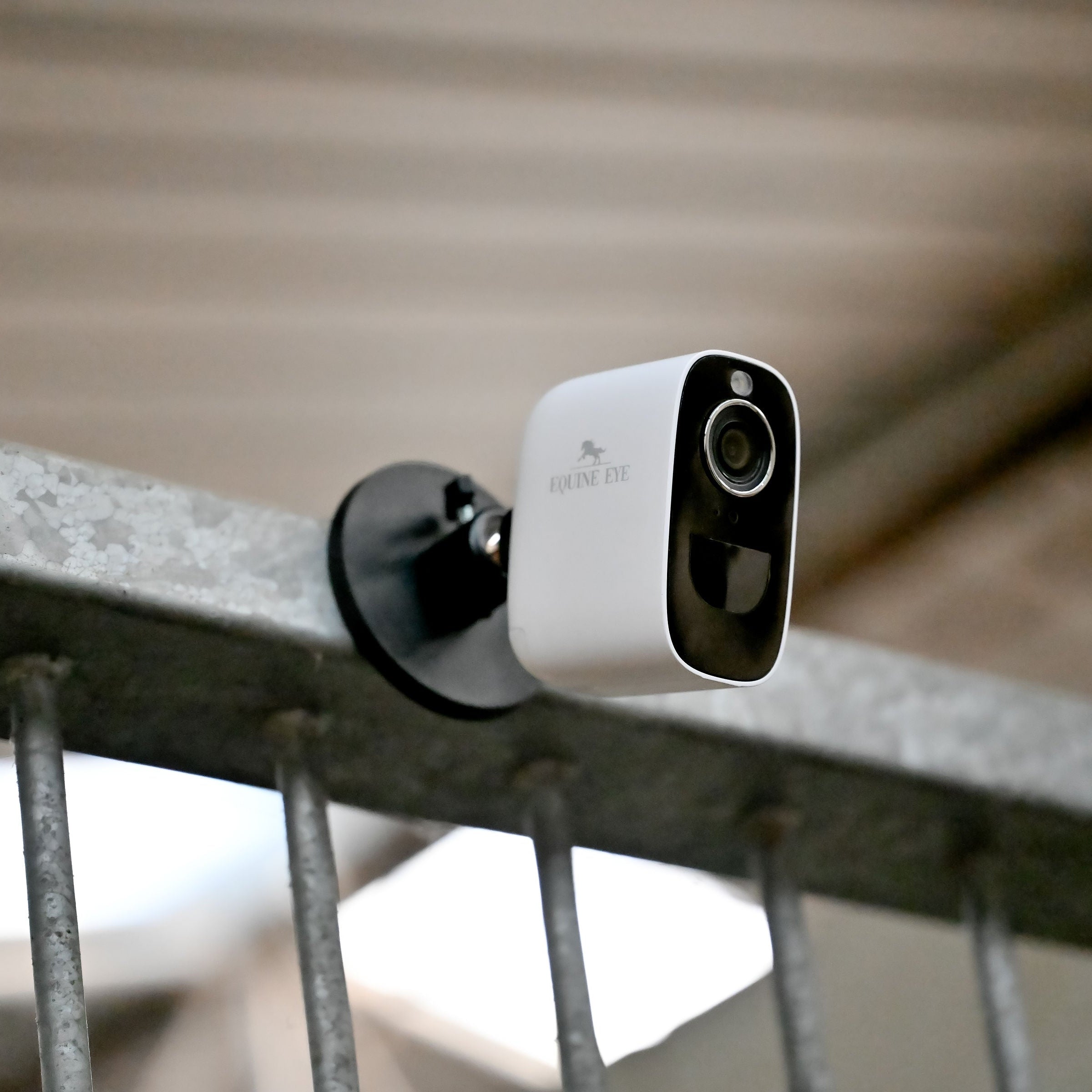 The Equine Eye Vision Camera