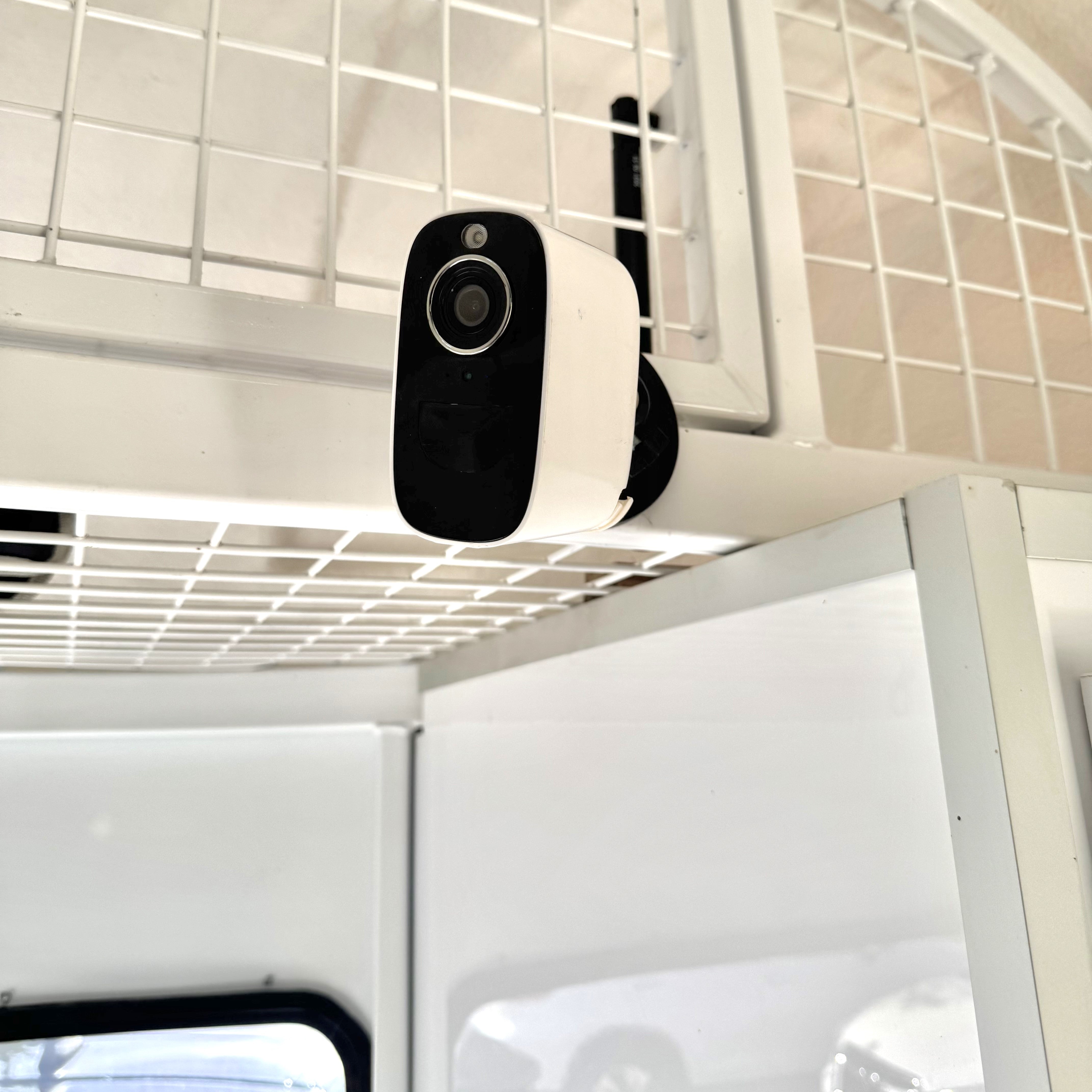 The Equine Eye Vision Camera - Equine Eye