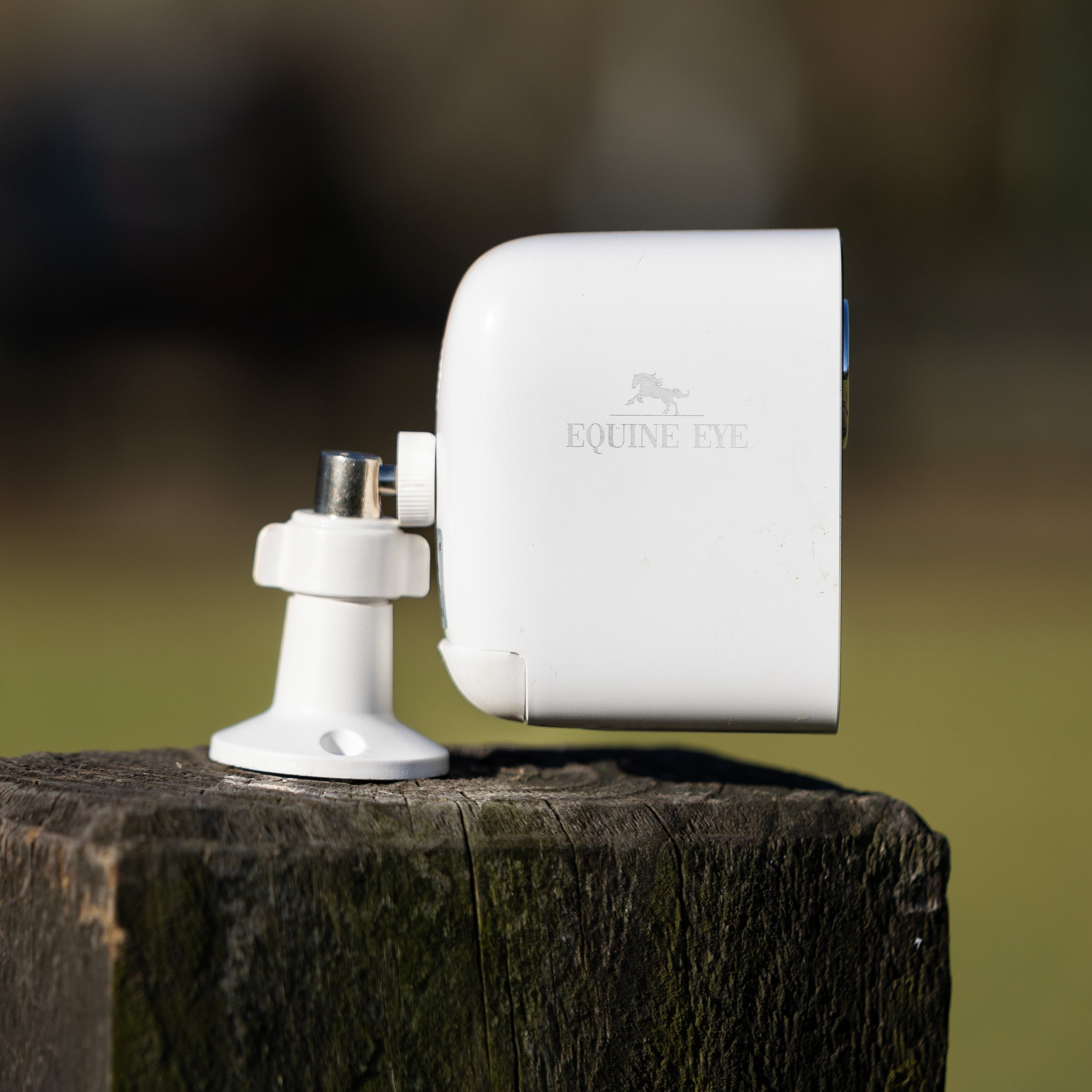 The Equine Eye Vision Camera - Equine Eye