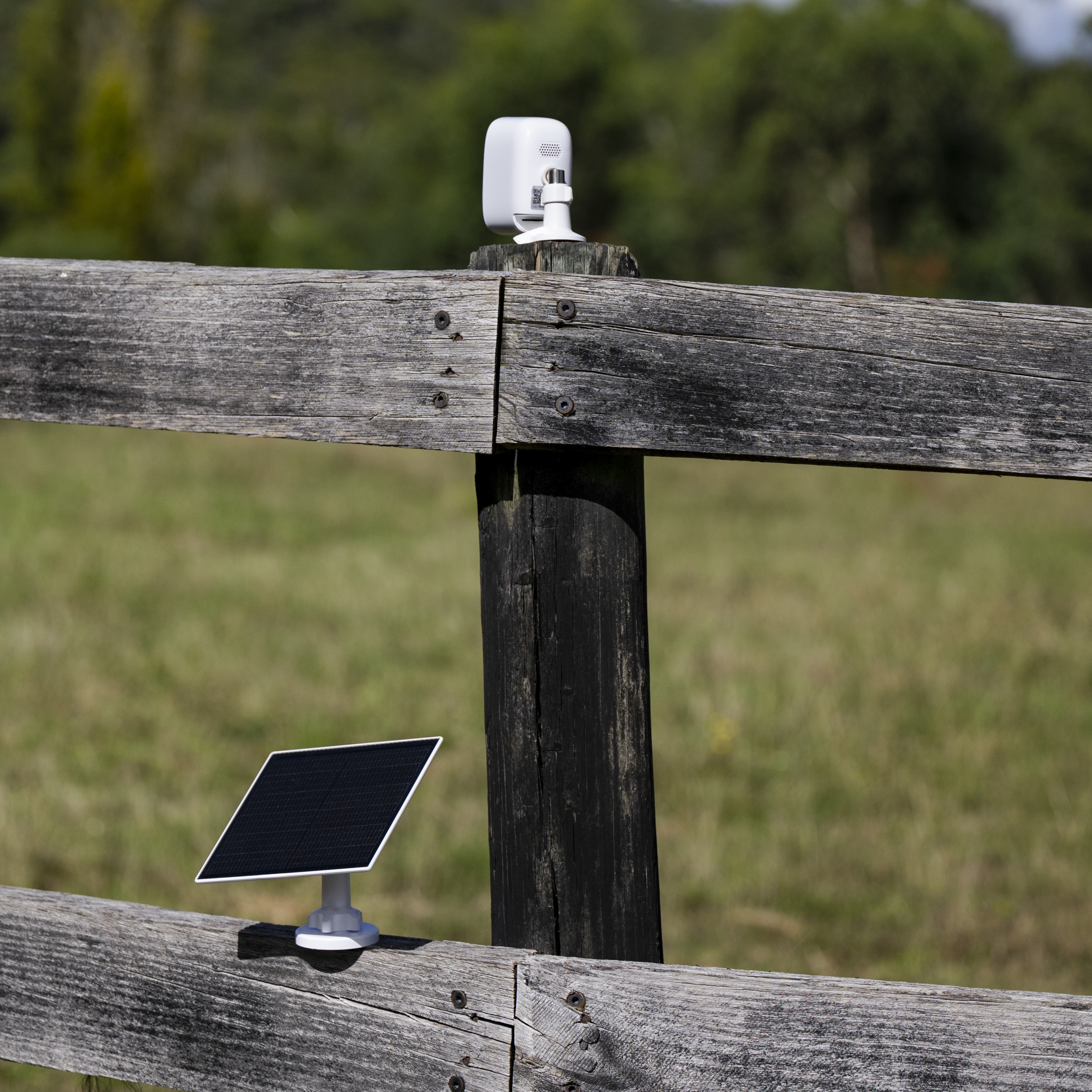 Solar-powered Equine Eye Vision Camera - never change batteries again