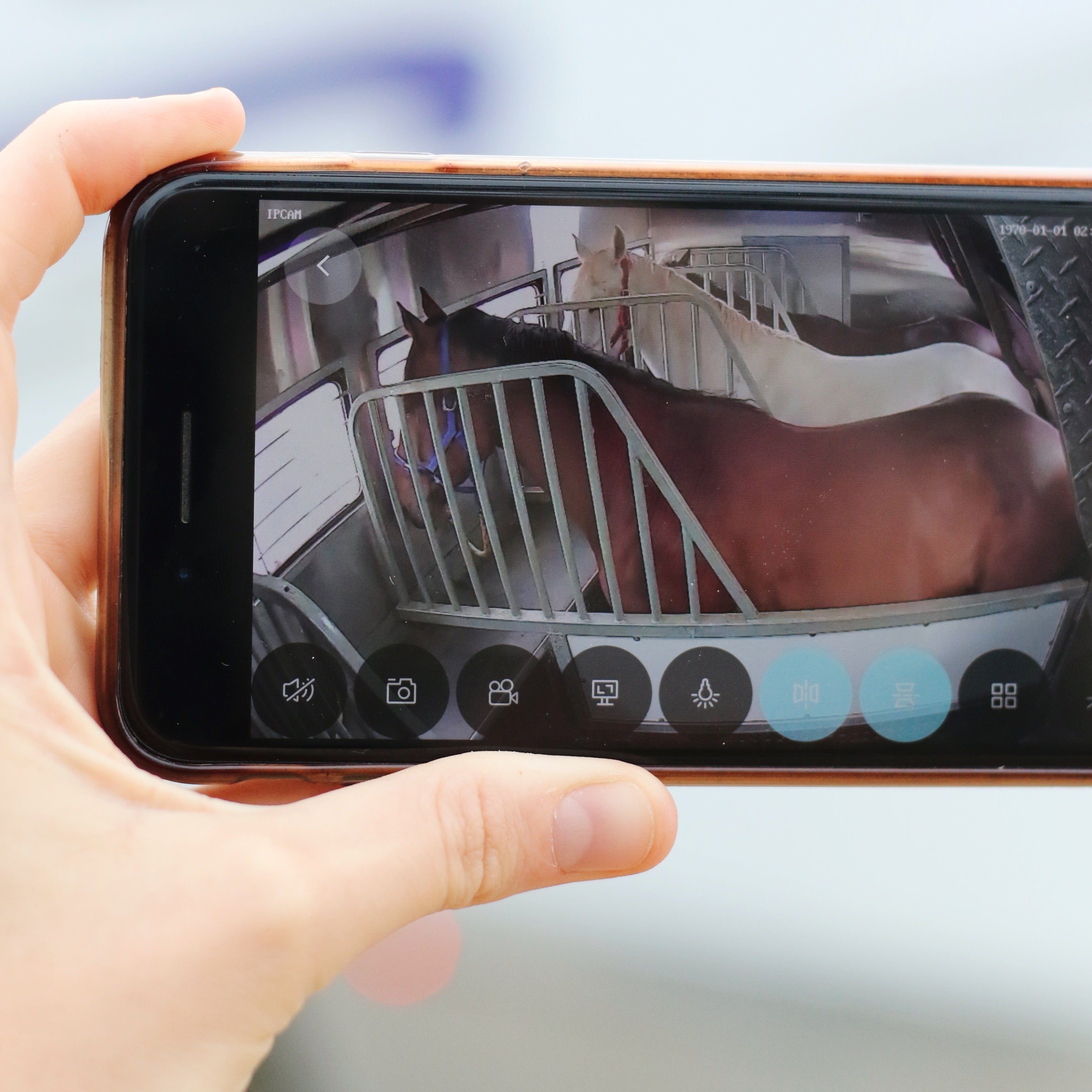 Equine Eye Voyager - wireless camera for horse travel, no internet required
