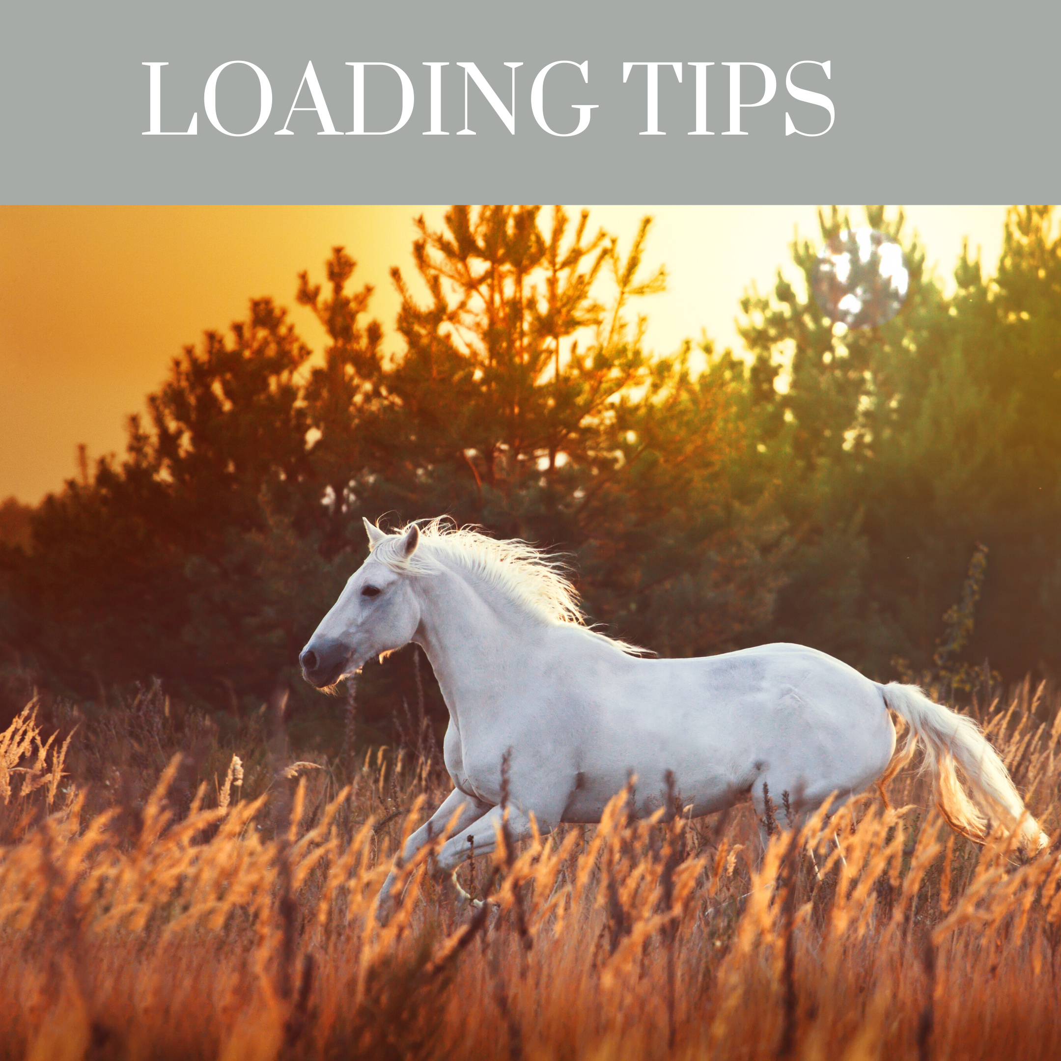 Loading Tips