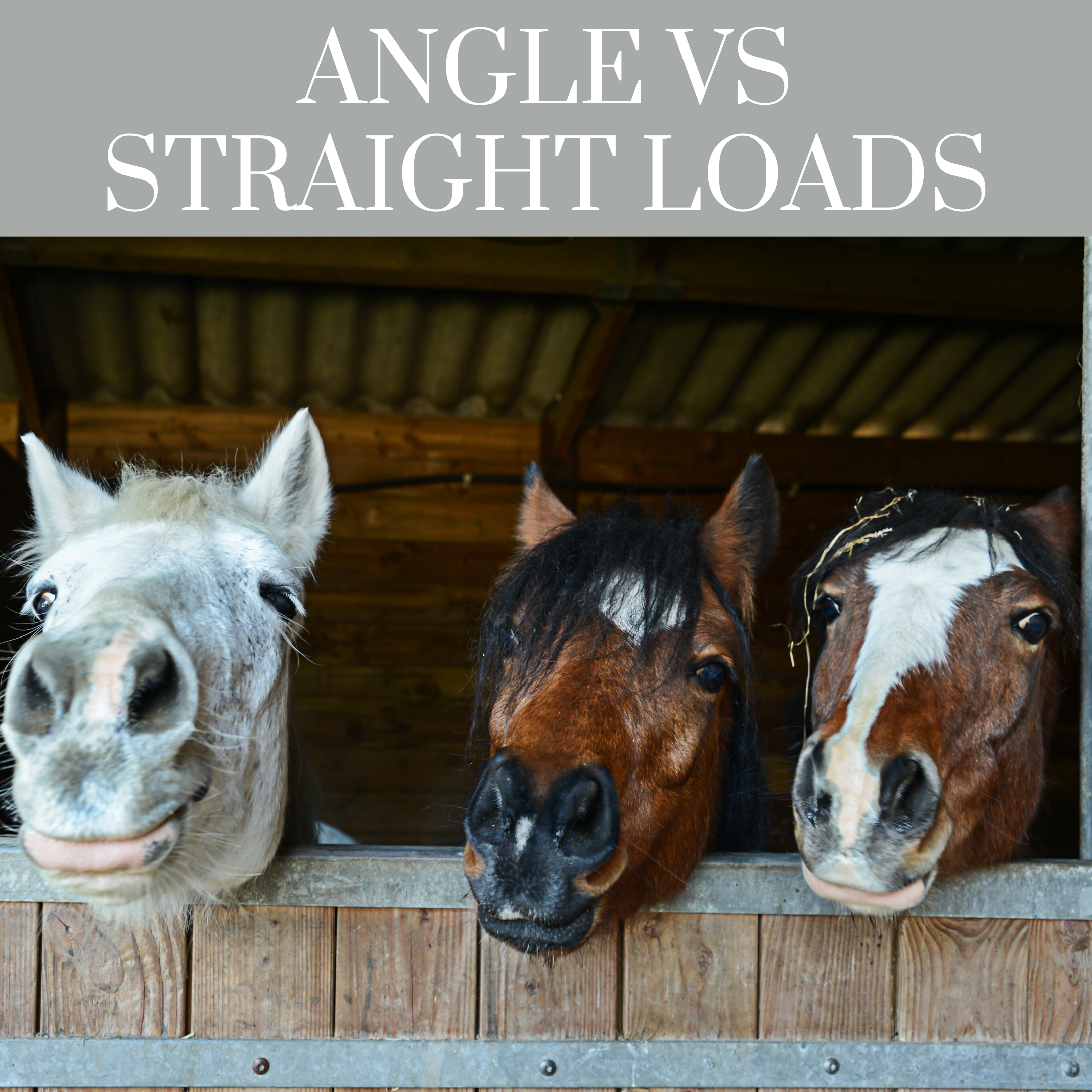 Angle floats VS Straight Loads – Equine Eye