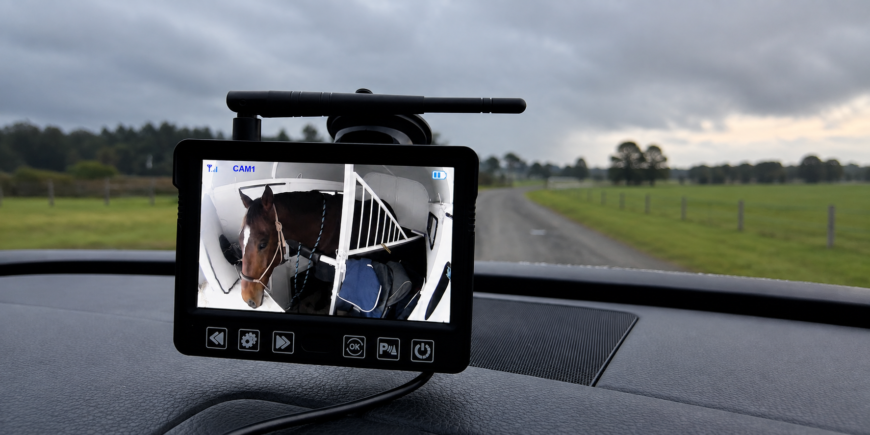 horse camera