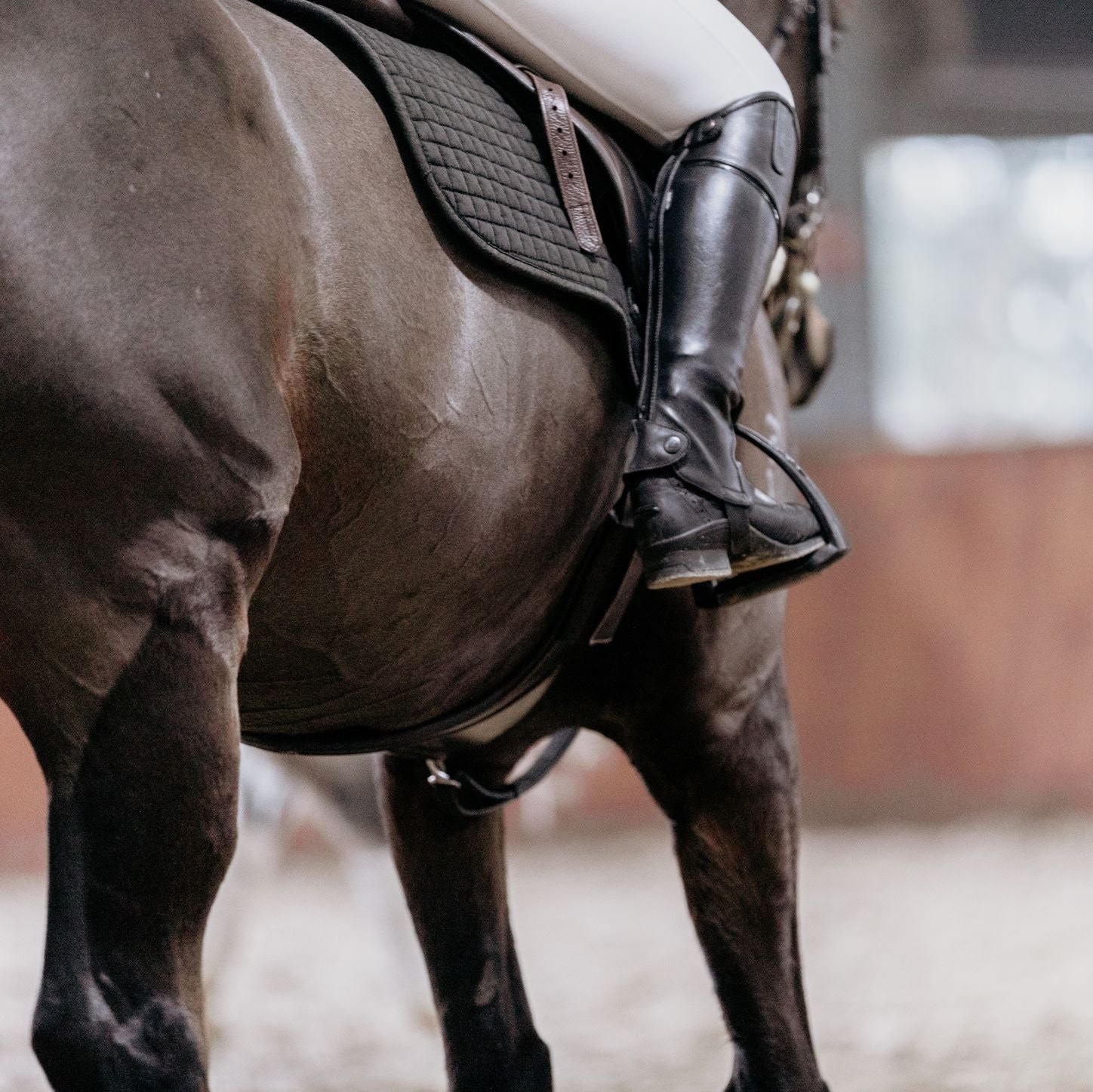 4 Pole Gymnastics Exercises for your Horses