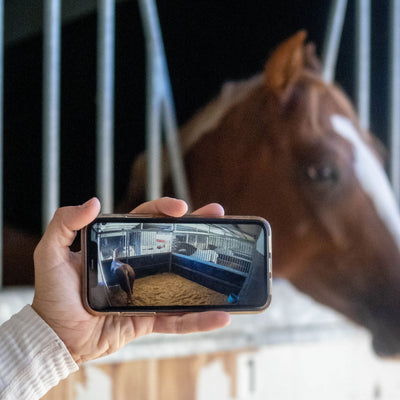 The Equine Eye Vision Camera can be use in a stable.