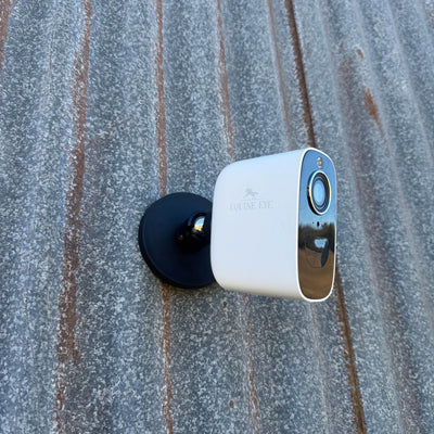 Magnetic Mount for Equine Eye Vision Camera - quick and easy setup.