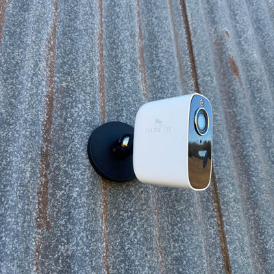 The Equine Eye Vision Camera - Equine Eye