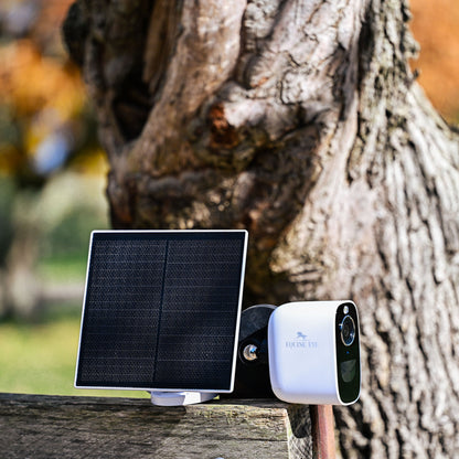 Equine Eye 4G solar camera mounted in stable for 24/7 horse observation