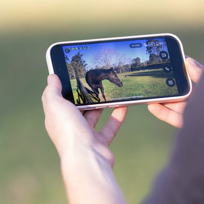 Equine Eye camera with 4G and solar - ideal for pasture monitoring