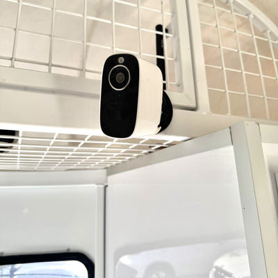 The Equine Eye Vision Camera - Equine Eye