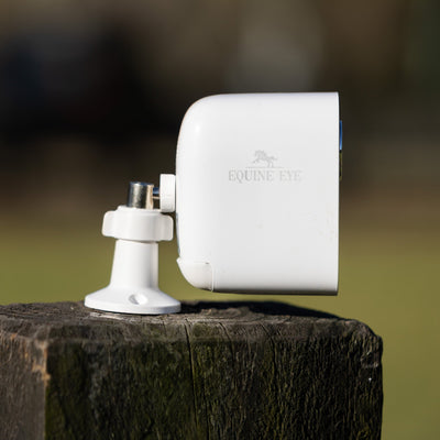 The Equine Eye Vision Camera - Equine Eye