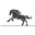 Equine Eye logo