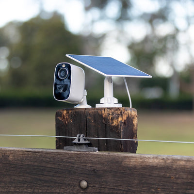The Equine Eye Vision Camera - Equine Eye