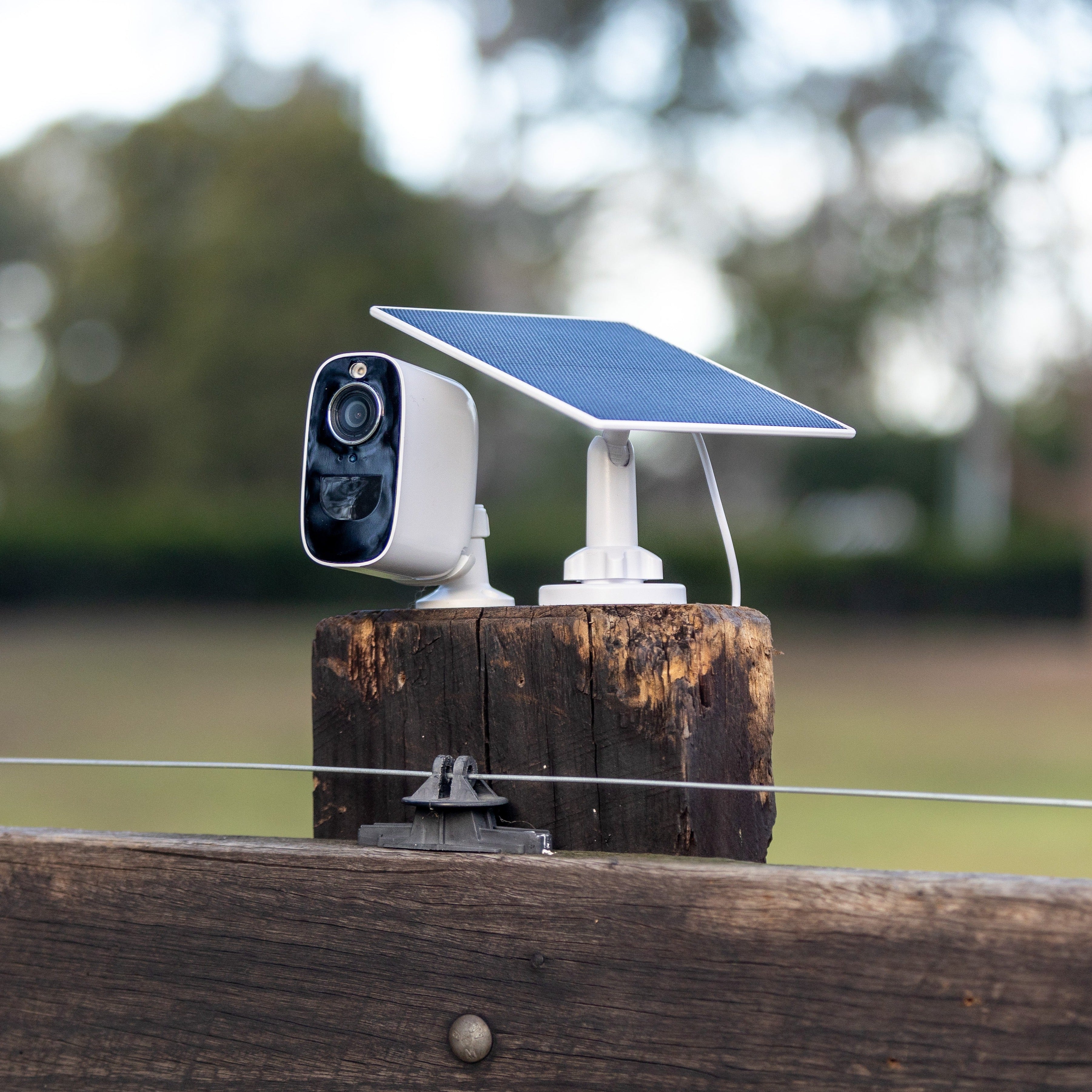 Equine Eye Vision - camera solar panel only