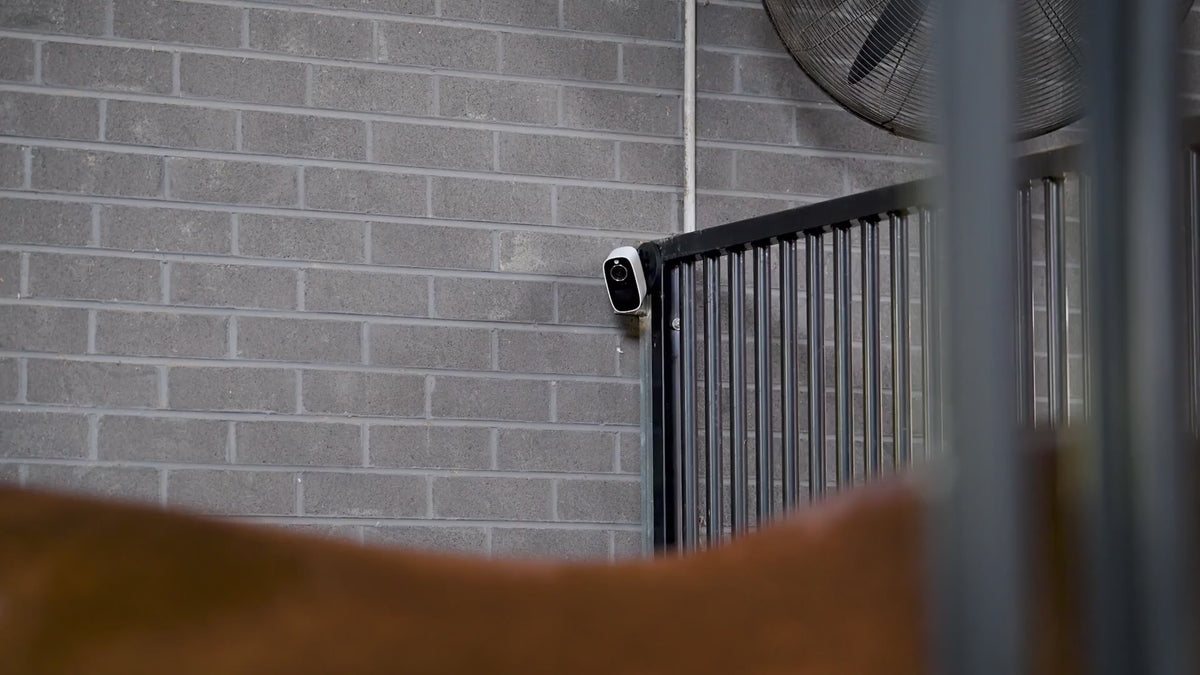 Horse Cameras | Paddock, stable & trailer cameras – Equine Eye